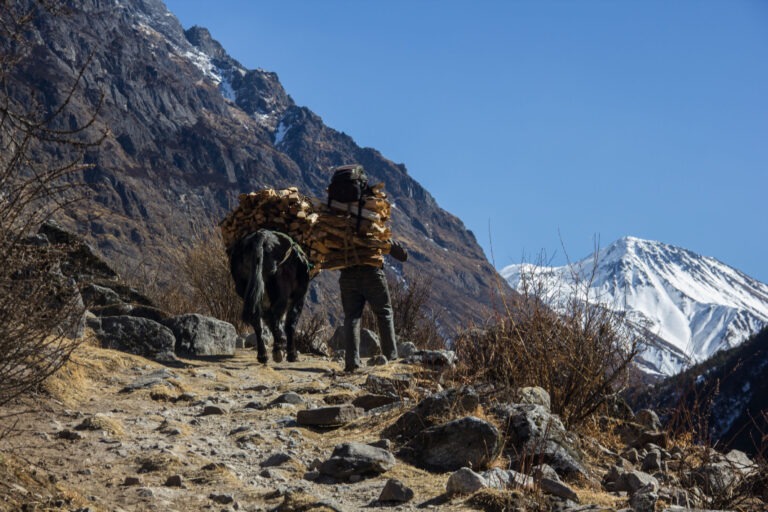 Auf dem Langtang-Trek