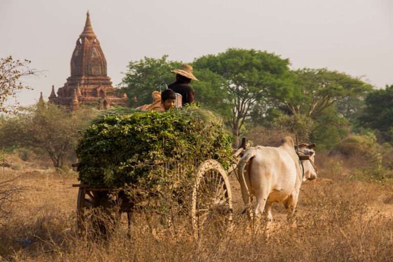 Landleben in Bagan