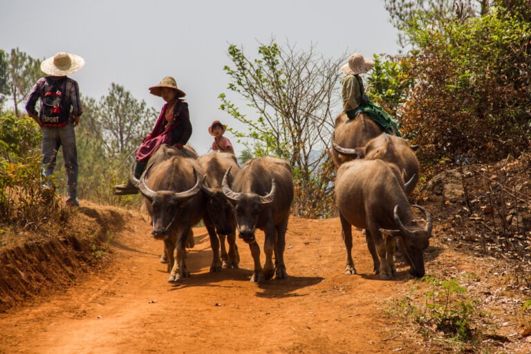 Zu Fuß zum Inle-See