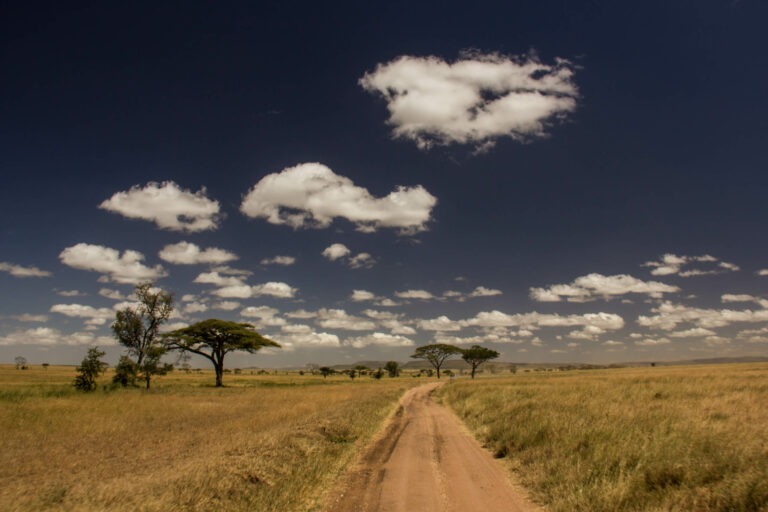Auf geht's in die Serengeti!