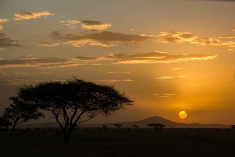 Sonnenuntergang in der Serengeti