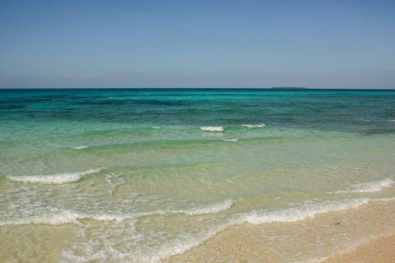 Welcome to Paradise
