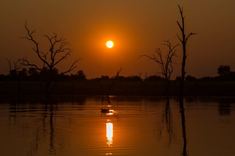 Abendstimmung Lake Kariba