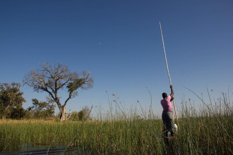 Mit Mokoros ins Okawango Delta