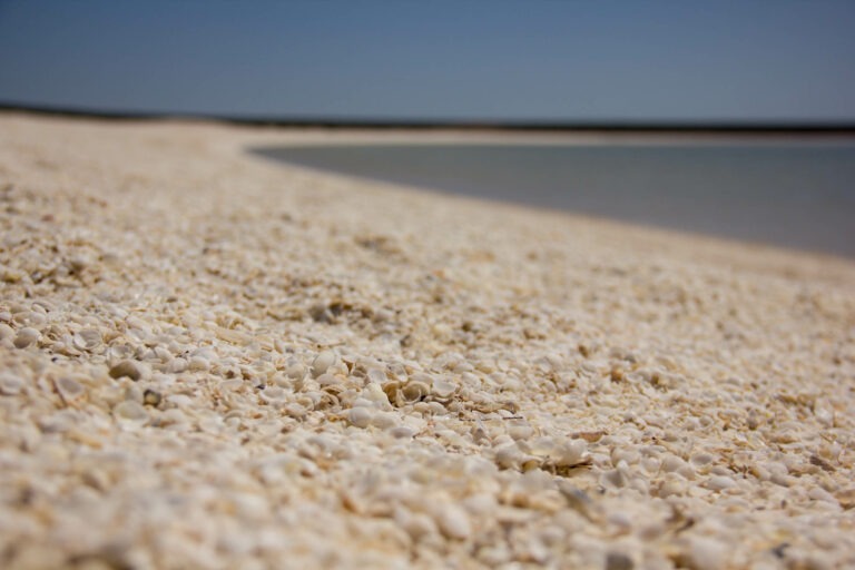 Der Shell Beach