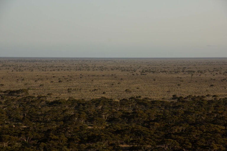 Nullarbor-Ebene