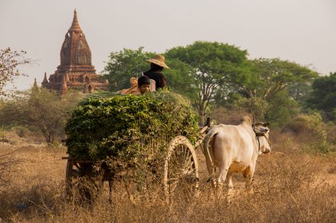 Faszinierendes Myanmar